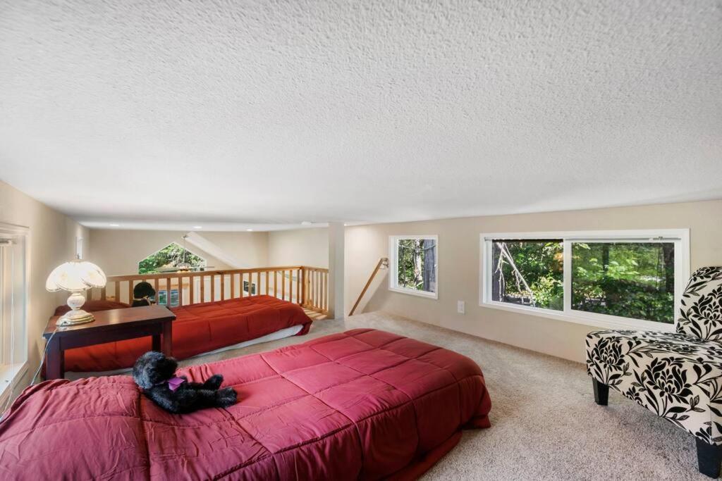 New Tiny Home Steps Away From Mt. Rainier Ashford Dış mekan fotoğraf