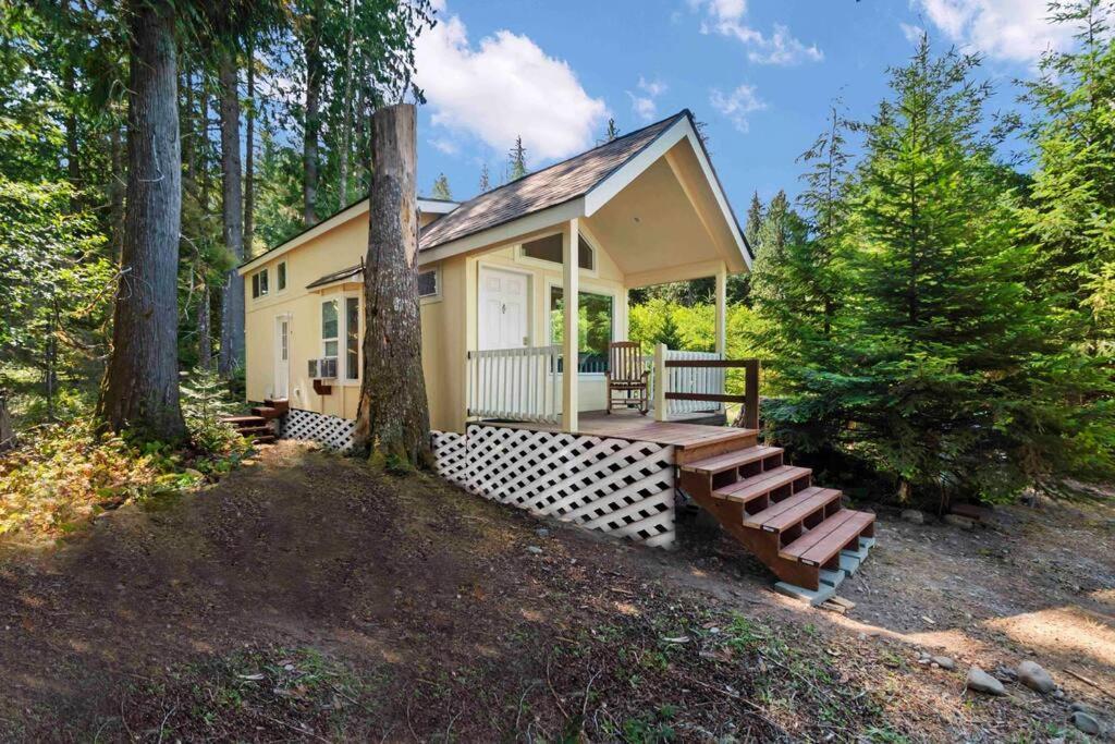 New Tiny Home Steps Away From Mt. Rainier Ashford Dış mekan fotoğraf