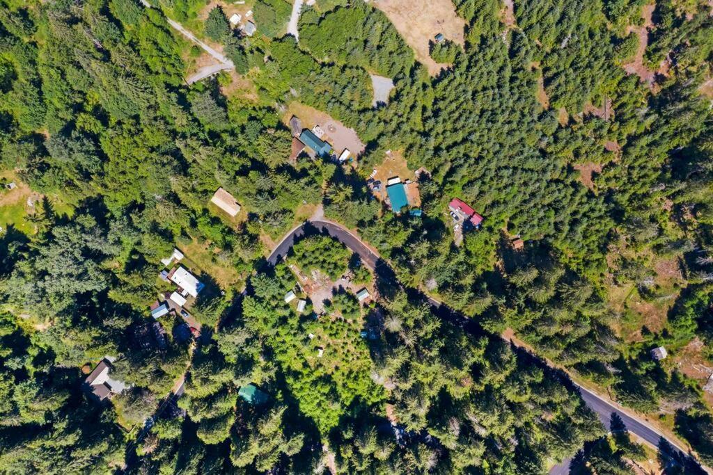 New Tiny Home Steps Away From Mt. Rainier Ashford Dış mekan fotoğraf