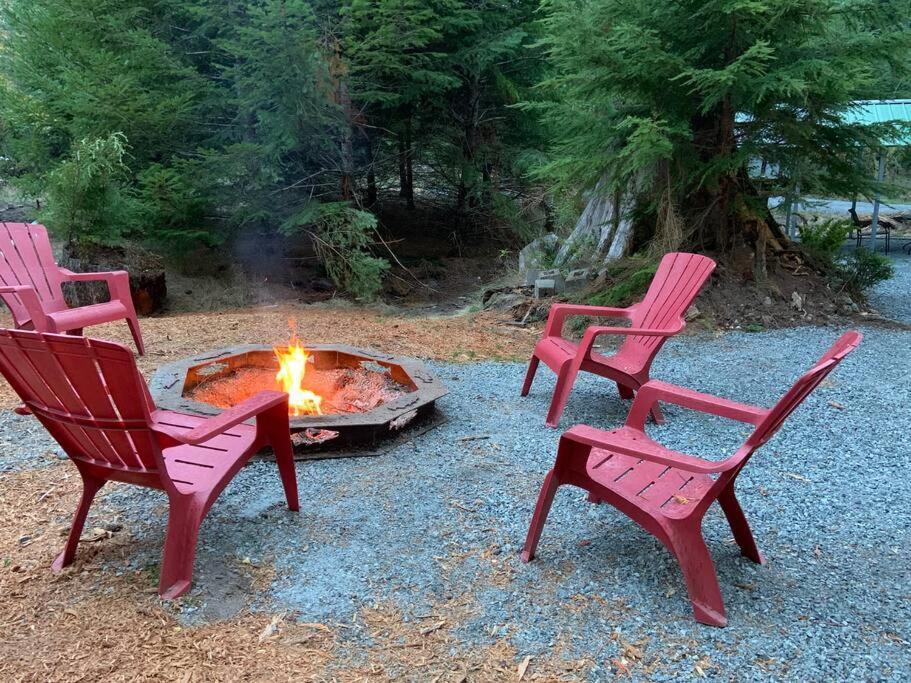 New Tiny Home Steps Away From Mt. Rainier Ashford Dış mekan fotoğraf